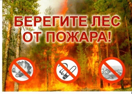 Берегите лес от пожара