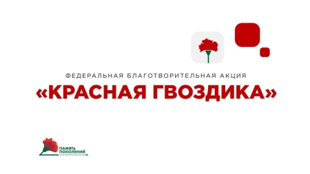 В Ульяновской области стартует акция «Красная гвоздика»