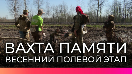 Ульяновские поисковики завершили весенний этап Вахты памяти