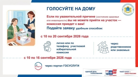 Голосование на дому
